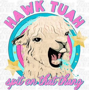 Hawk Tuah Llama